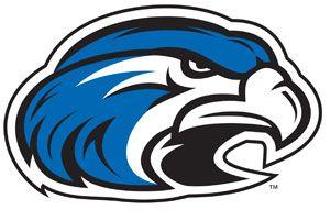 Blue Hawk Hockey Logo - college basketball scores January 28th | Balladeer's Blog