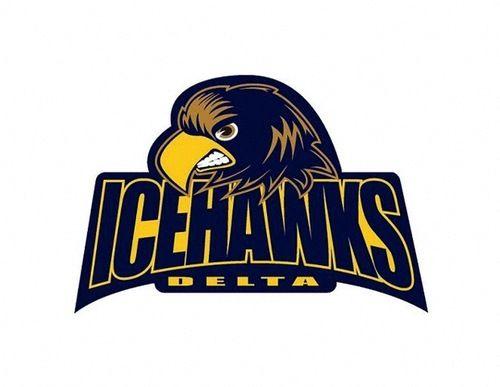 Blue Hawk Hockey Logo - Delta Ice Hawks