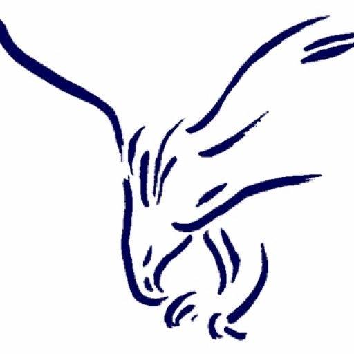 Blue Hawk Hockey Logo - Blue Hawk Volleyball