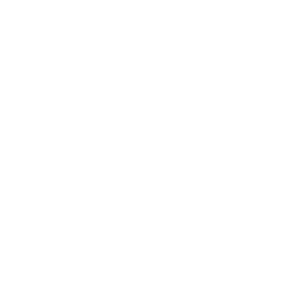 Courthouse Logo - Marion-Courthouse-Logo-Trans-White – City of Marion, South Carolina