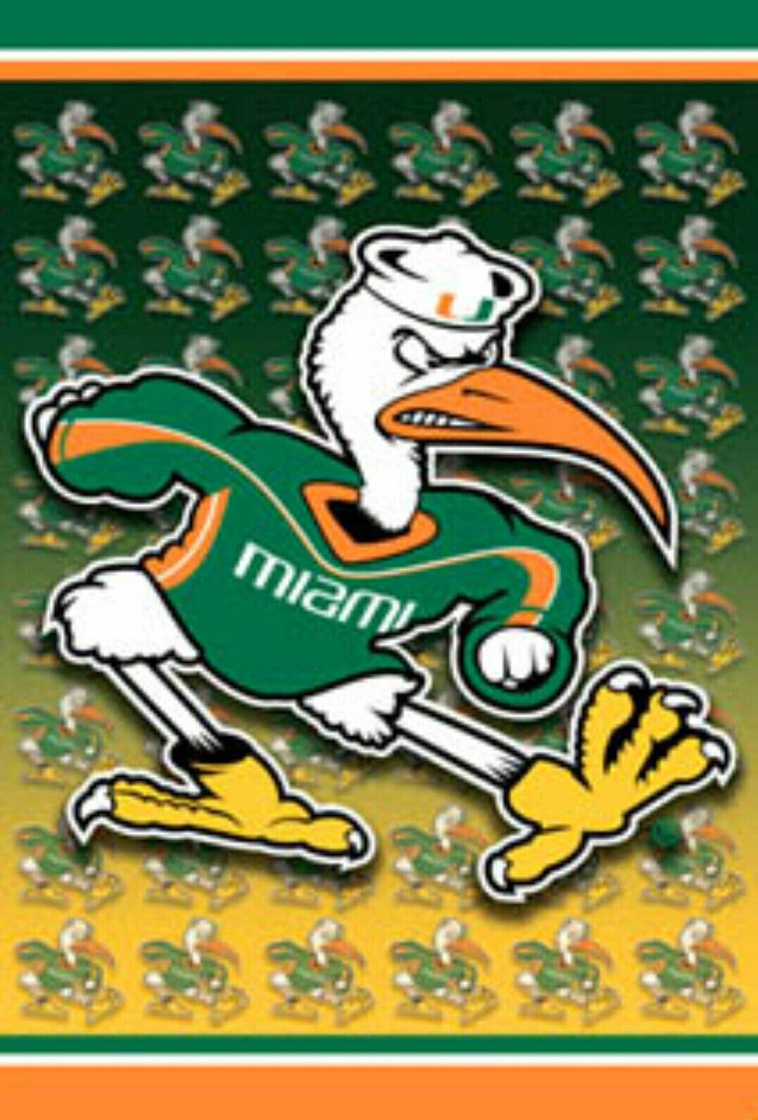 University Of Miami Hurricanes Logo LogoDix