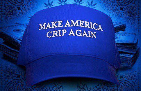 Blue Crip Logo - Snoop Dogg Blasts Donald Trump with New Track 'Make America Crip ...