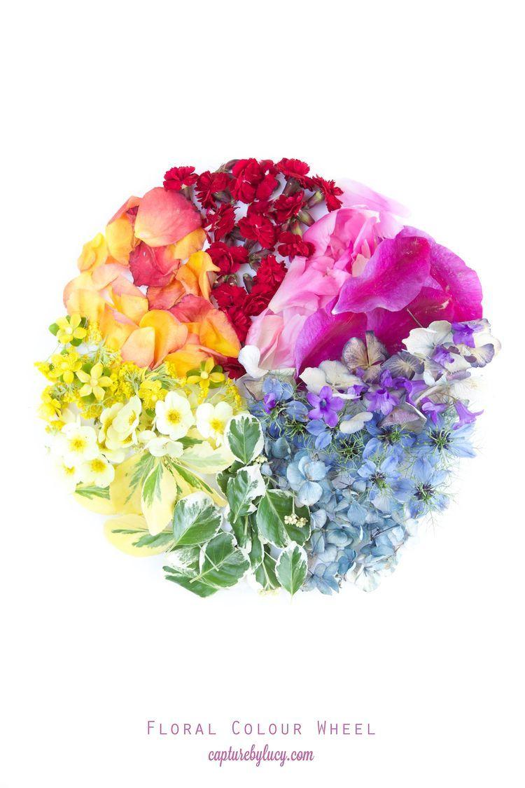 Color Wheel Flower Logo - Floral Colour Wheel • #CapturingColour | Gardening/Botany Unit Study ...