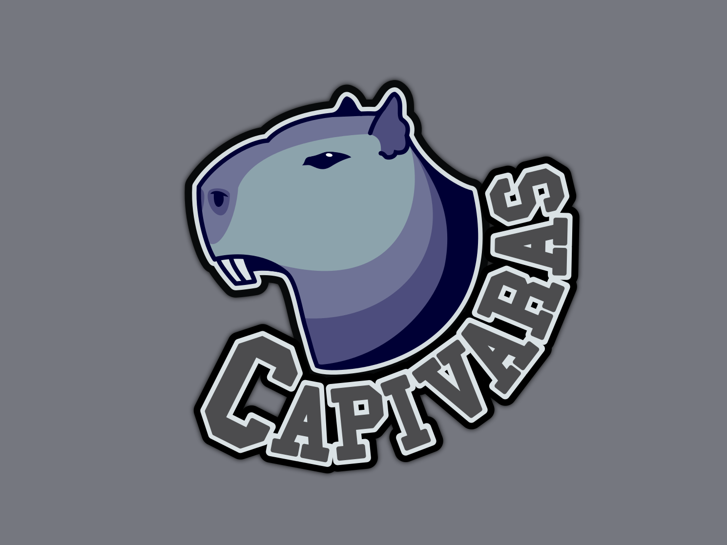 Horseshoe Team Logo - Capivaras Dev Team Logo by Stéfano Stypulkowski Zanata | Dribbble ...
