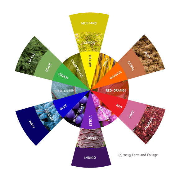 Color Wheel Flower Logo - Color Scheming…using color theory to create harmonious foliage ...