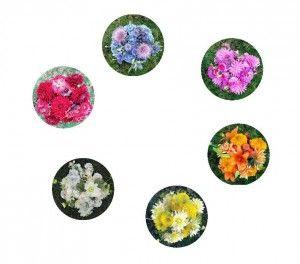 Color Wheel Flower Logo - A Floral Color Wheel | Munsell Color System; Color Matching from ...