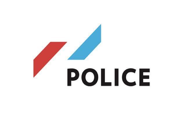 Police Logo - Police logos that didn't make the cut - Delano - Luxembourg in English