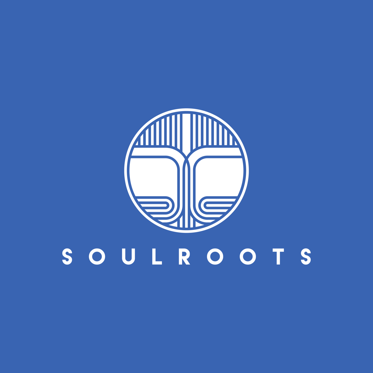 White with Blue Square Logo - SOULROOTS