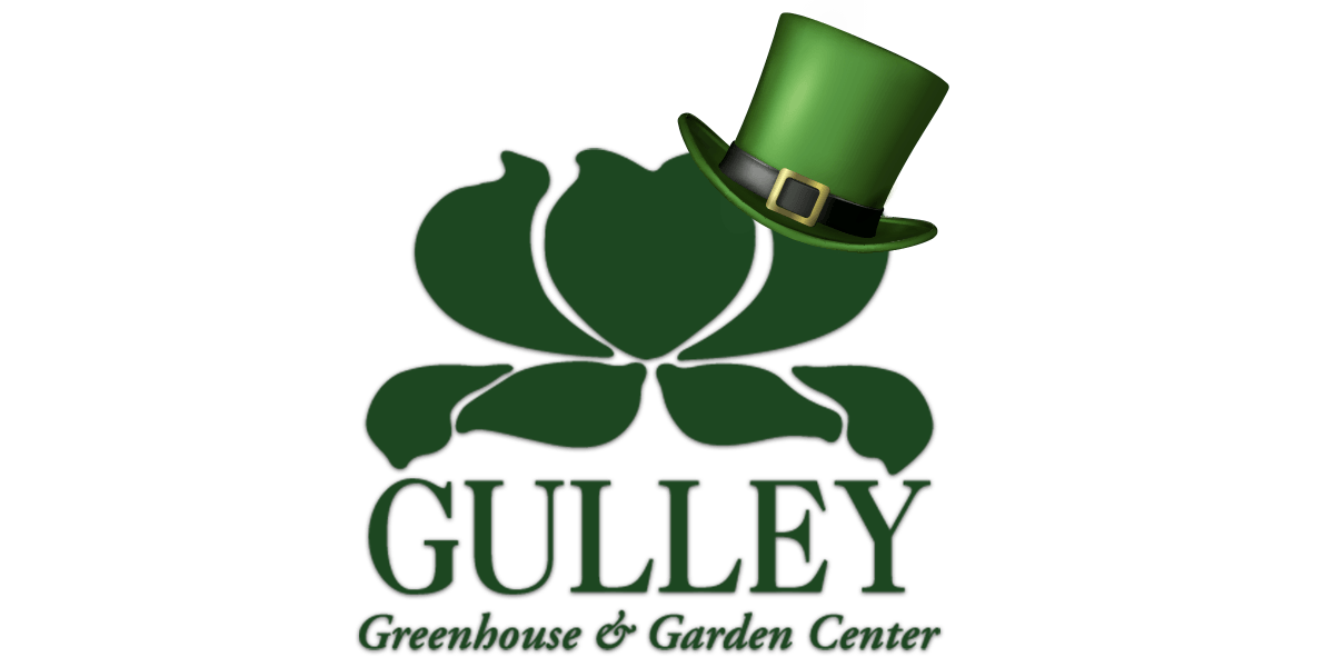 St. Patrick Logo - St Patrick Logo 2016. Gulley Greenhouse & Garden Center