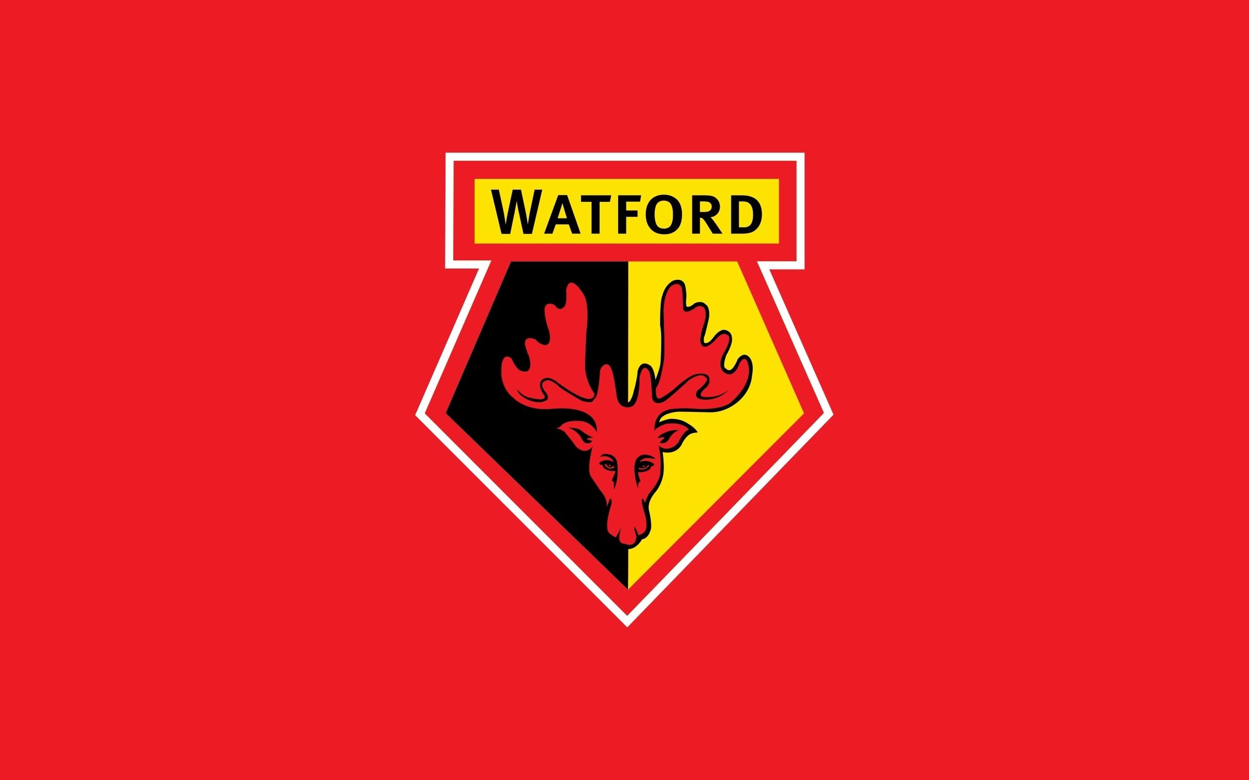 Watford Logo - Feyenoord fans flood Watford's official Instagram account