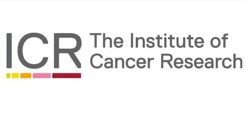 The Institute Logo - Saffron rebrands The Institute of Cancer Research