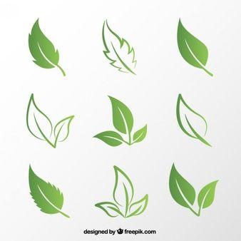 White with Blue Lines Three Leaves Logo - Leaf Vectors, Photos and PSD files | Free Download