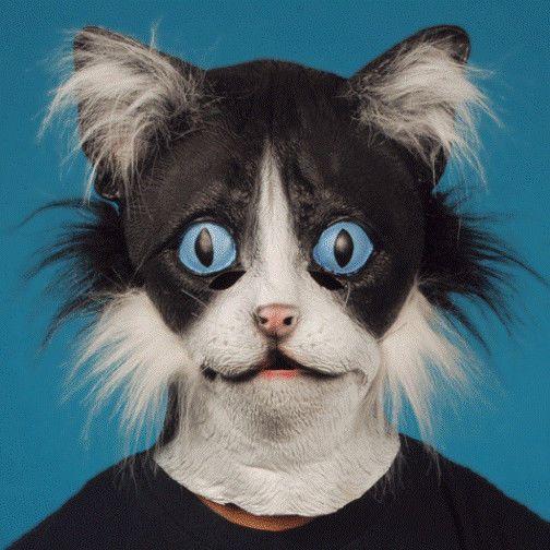Black and White Cat Head Logo - Adult Latex Black White Cat Mask Kitten Kitty Animal Costume Rubber