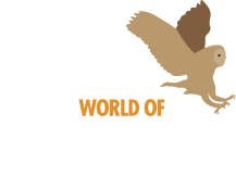 Owl Feet Logo - World Of Owls. Talons and Feet