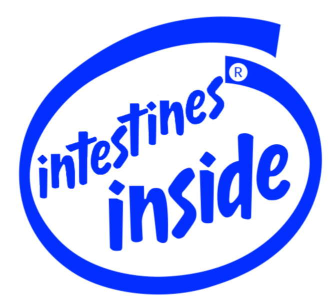 Intel Inside Logo - Intestines Inside parody logo t-shirt - csanyk.com