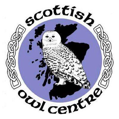 Owl Feet Logo - Scottish Owl Centre on Twitter: 
