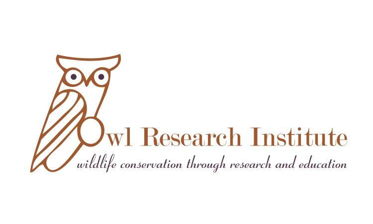 Owl Feet Logo - About Owls I Owl Research Institute