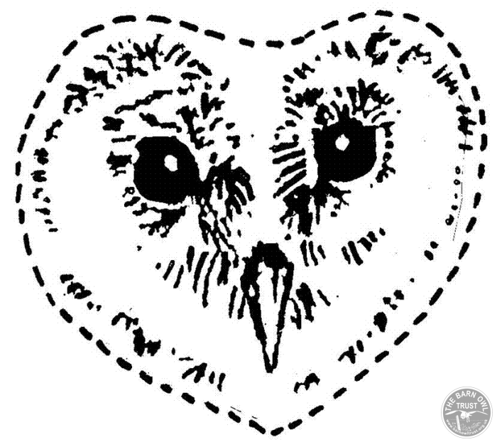 Barn Owl Face Logo - diagram Archives - The Barn Owl Trust