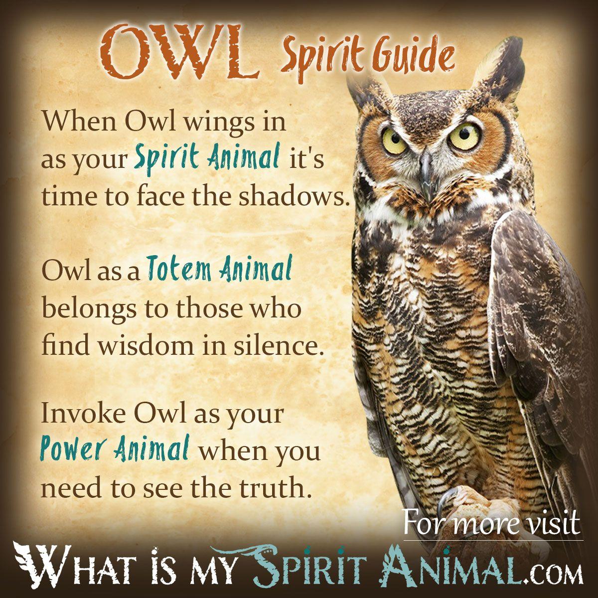 Owl Feet Logo - Owl Symbolism & Meaning. Spirit, Totem, & Power Animal