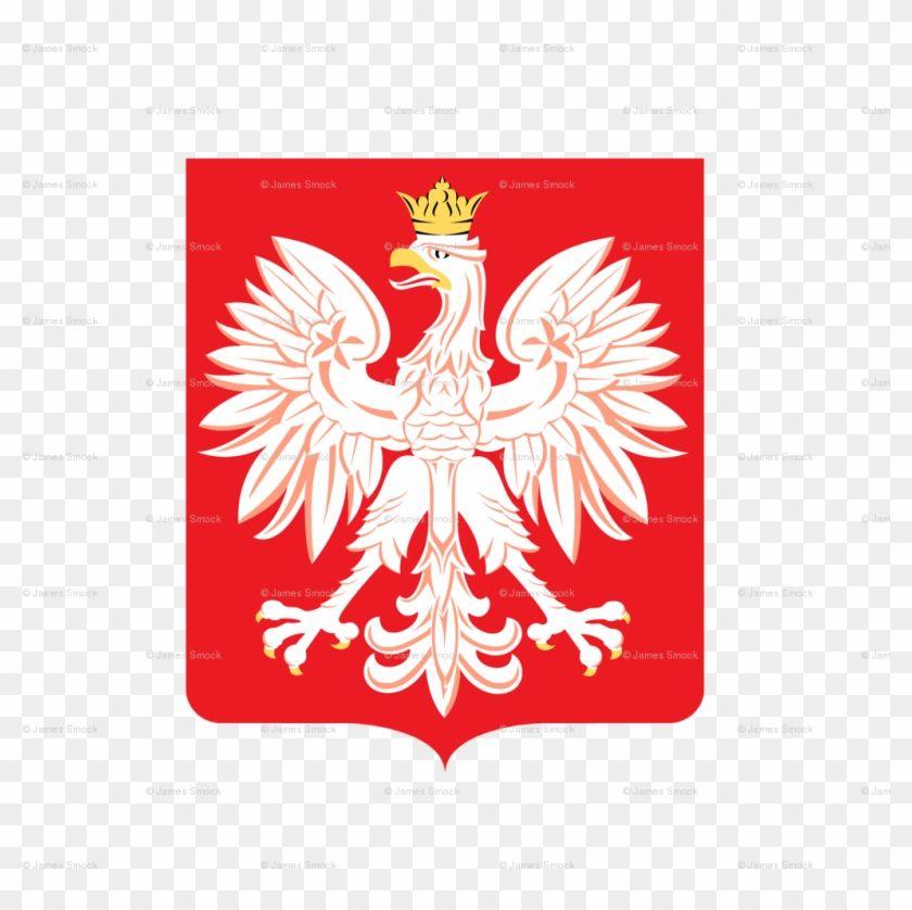 Red Shield Animal Logo - Polish Eagle Red Shield With Polska Card - Free Transparent PNG ...