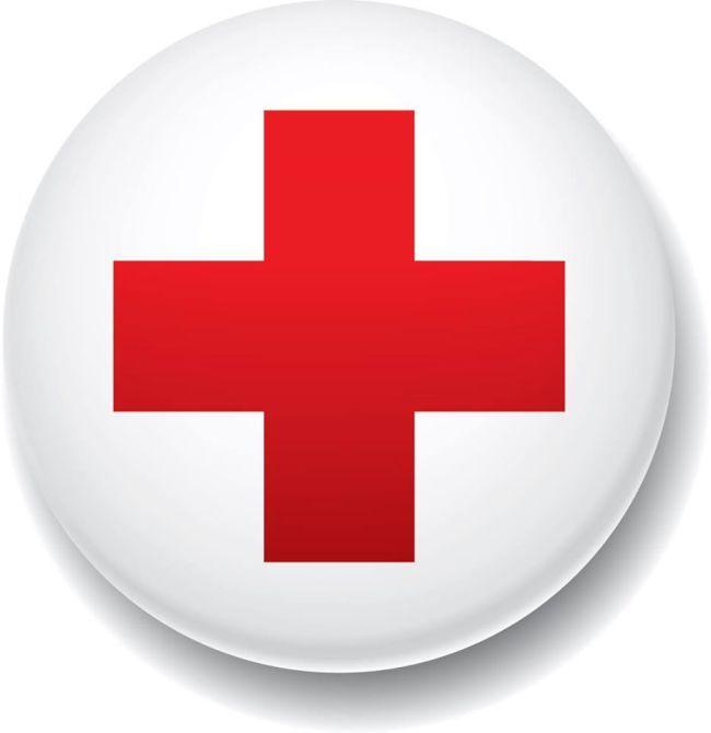Red Cross Button Logo - Red Cross spends $138 million on displaced persons in Lake Chad ...