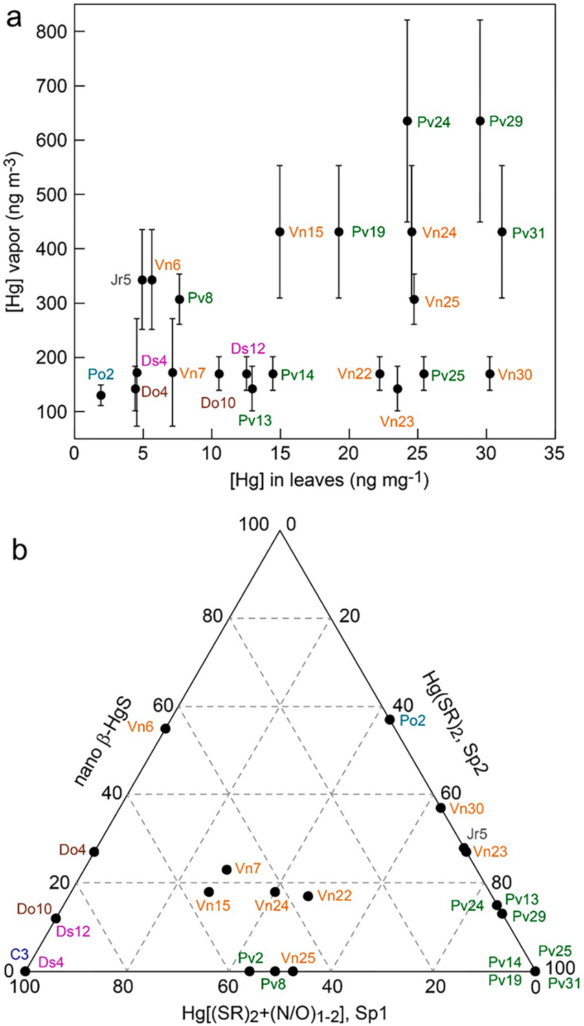 HG Leaf Logo - Concentration of mercury in leaf tissues and ambient air (a)