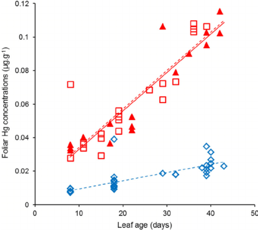 HG Leaf Logo - Foliar Hg concentration in the fi eld experiment as a function of ...