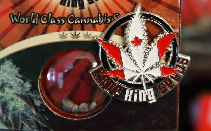 HG Leaf Logo - Canada preps for legalized marijuana Oct. 17