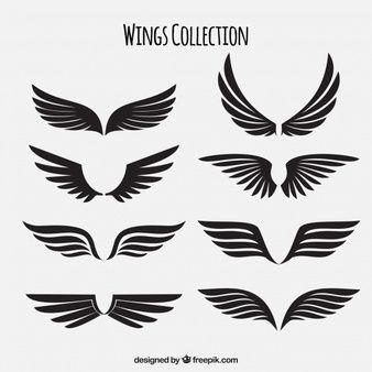 Bird Wing Logo - Wings Vectors, Photos and PSD files | Free Download