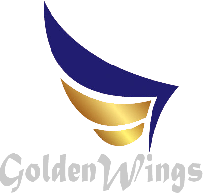 Airline Wings Logo - Aircraft Maintenance in Johannesburg South Africa