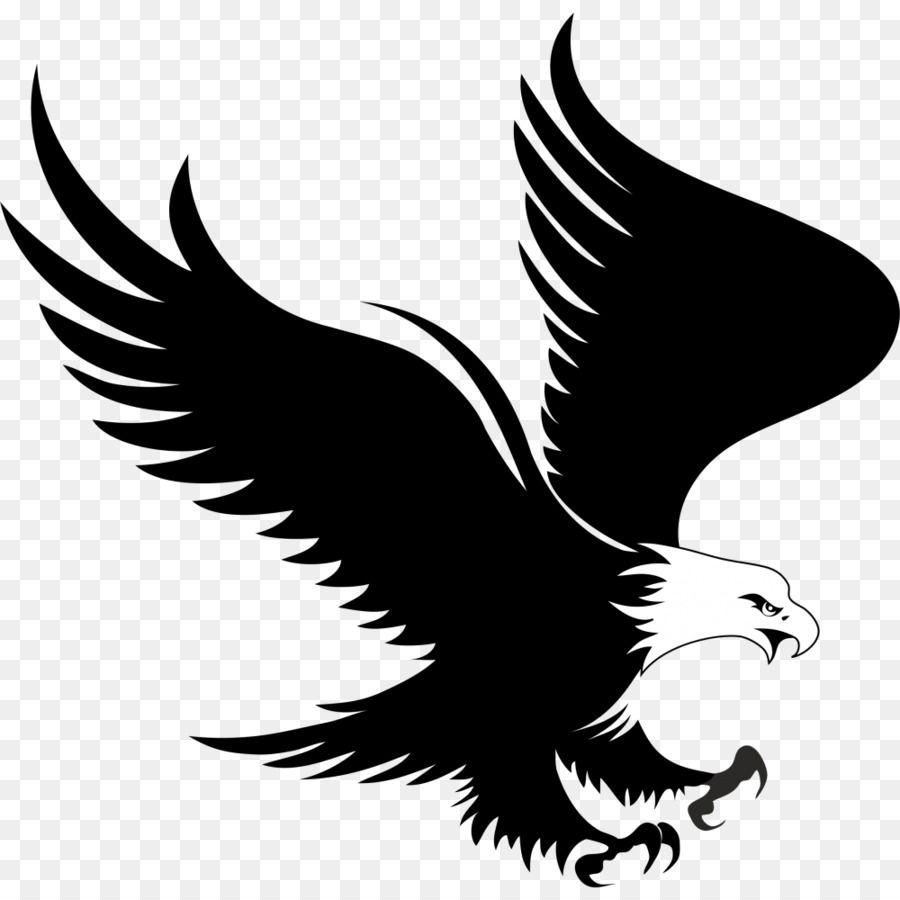 Bald Eagle Logo - Bald Eagle Logo Clip art - eagle png download - 1000*1000 - Free ...