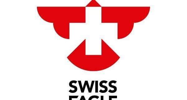 Swiss Eagle Logo - Swiss Eagle Medical Logo Design - The NetMen Corp