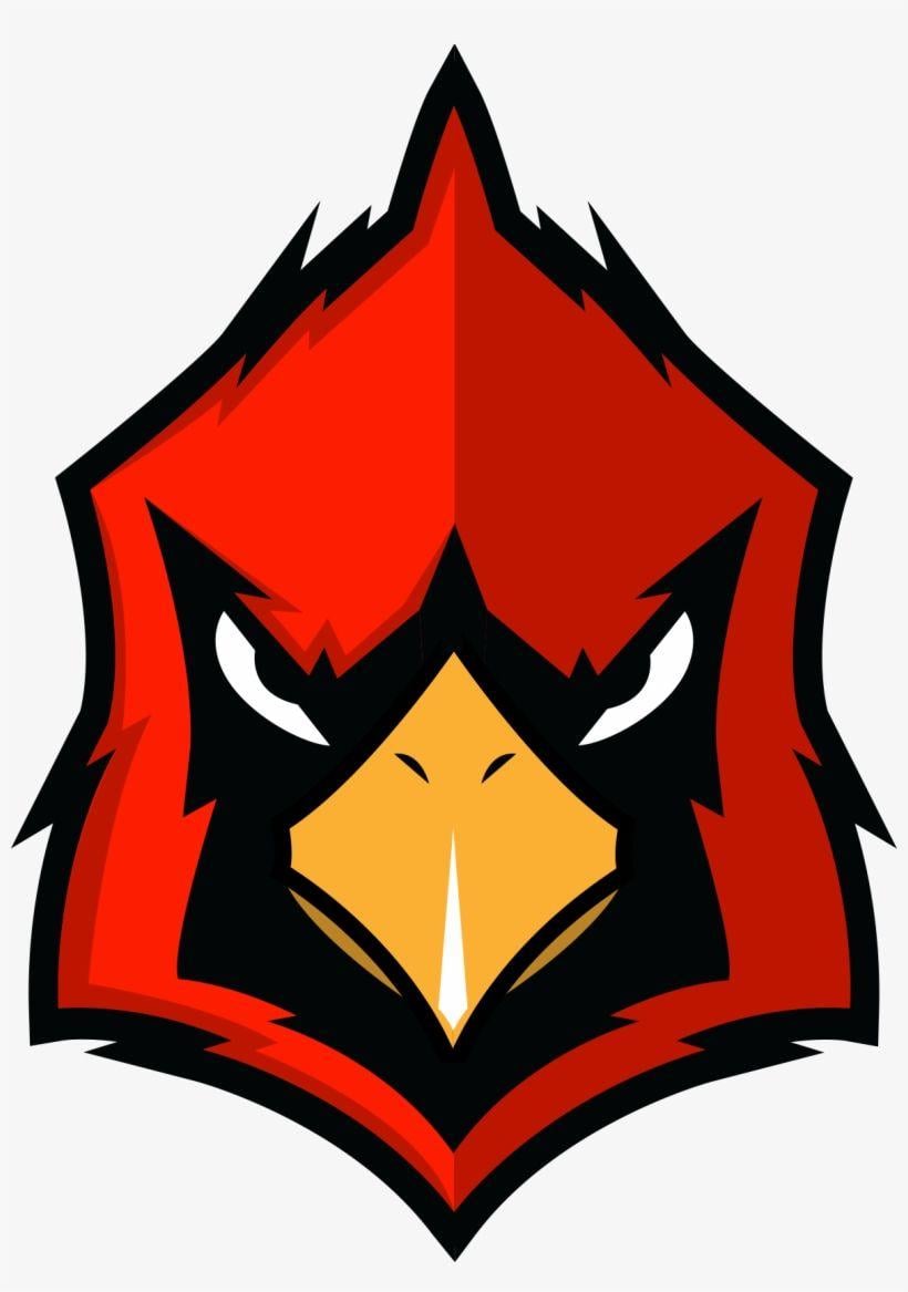 Cardinal Logo - Cardinal Logo - Cardinals Png Transparent PNG - 1186x1631 - Free ...