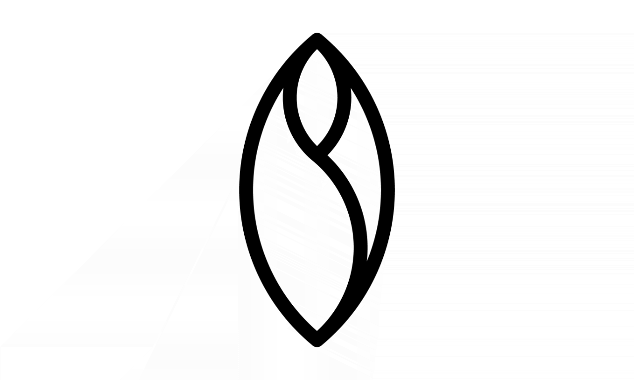 Geometry Logo - Sacred Geometry Logo Concept - Olympia Graphics Company
