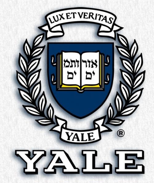 Yale Logo - yale logo yale logo free range kids free - Bbwbettiepumpkin