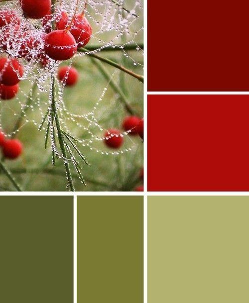 Reds and Green Tree Logo - olive greens and brick reds. Olive green kitchen walls with brick ...
