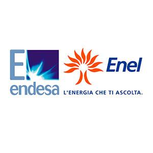 Endesa Logo - Endesa/Enel | Divi Group