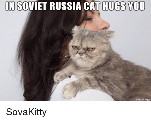 TMM Movie Kitty Cat Logo - Breaking News LIVE Cat Proposes to Woman Cat Hugged to Death TMM ...