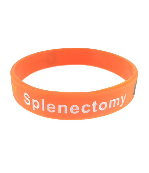 Medical Bracelet Logo - Splenectomy Spleen Alert Medical Bracelet, , , Mediband | Mediband UK