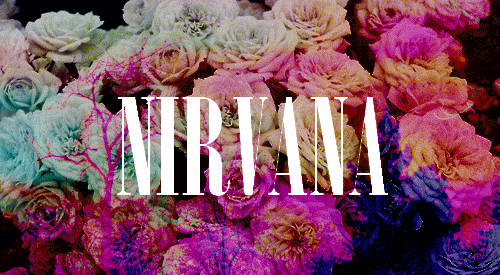 Pink Nirvana Logo - Nirvana Logo Wallpaper | Nirvana Logo Tumblr Nirvana logo flowers ...