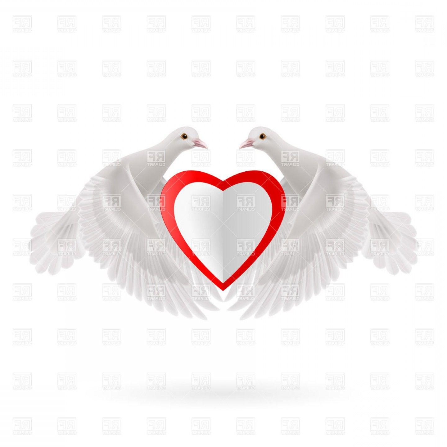 Red White Heart Logo - White Heart With Red Edging Between Two Doves Vector Clipart | SOIDERGI