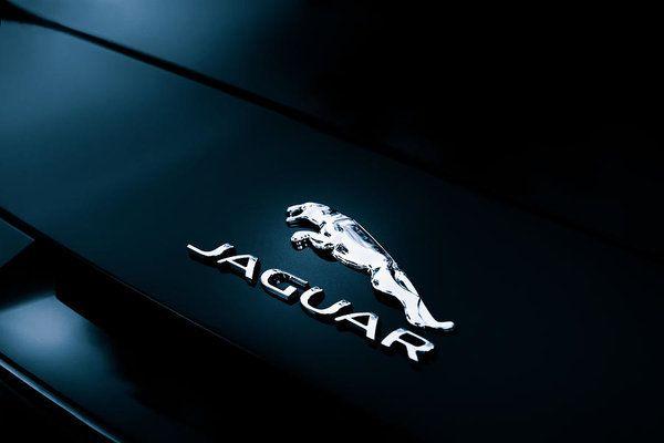Jaguar Automotive Logo - Jaguar Logo Art Print by Darek Szupina Photographer