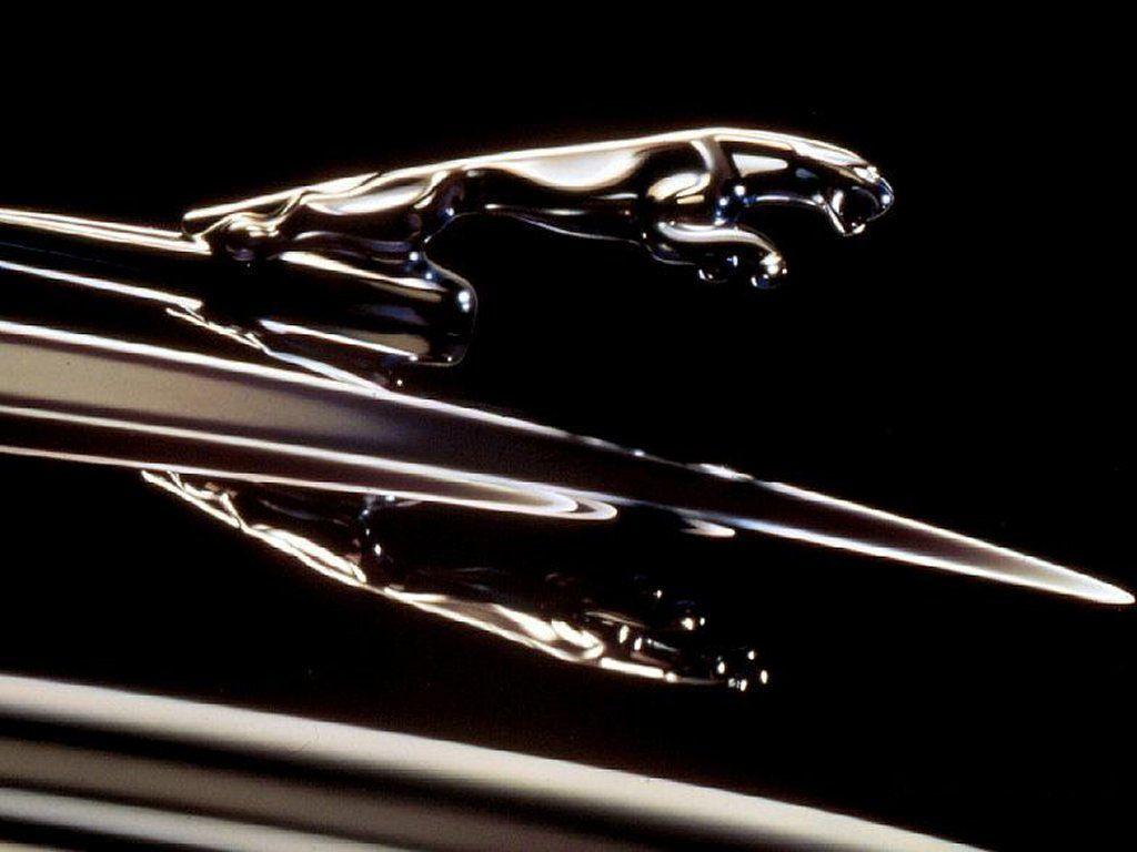 Jaguar Automotive Logo - I Love the Jaguar car logo. So Cool. | Cars - Hood Ornaments ...