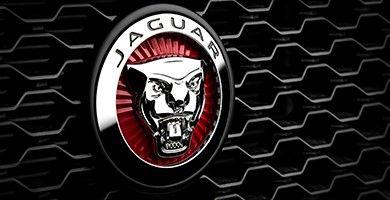 Jaguar Automotive Logo - JAGUAR New Car Models | Lloyd Motor Group