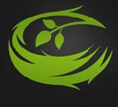 Nest Logo - The Nest Logo - Picture of The Nest, Peabody - TripAdvisor