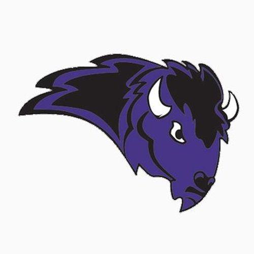 Bisons Basketball Logo - Bison Girls Basketball - Buffalo High School - Buffalo, Minnesota ...