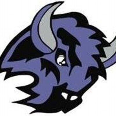 Buffalo Bisons Logo - Buffalo Bison Hockey (@BisonBoysHockey) | Twitter