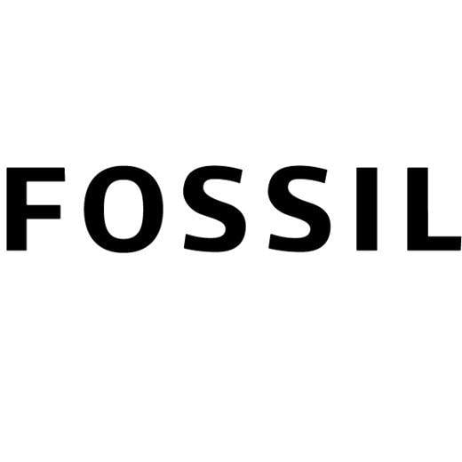 Fossil Logo - Fossil. St David's Dewi Sant Shopping Centre