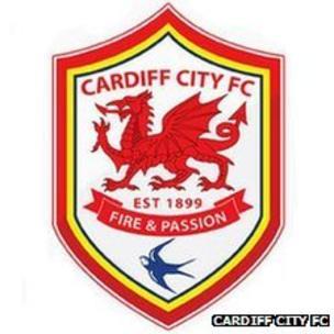 Cardiff City Logo - Cardiff City FC fans react to red shirt rebranding - BBC News