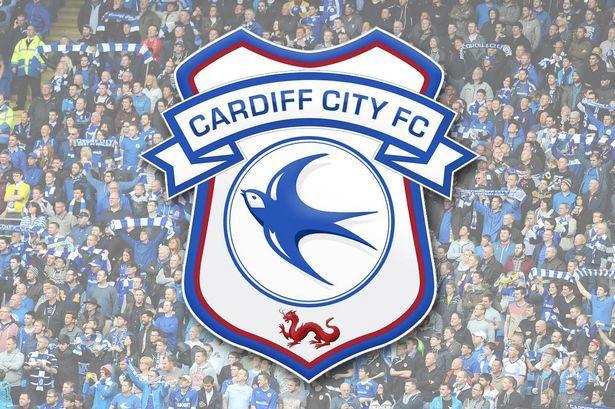 Cardiff City Logo - Cardiff City's new crest revealed: Bluebird returns as club unveil ...
